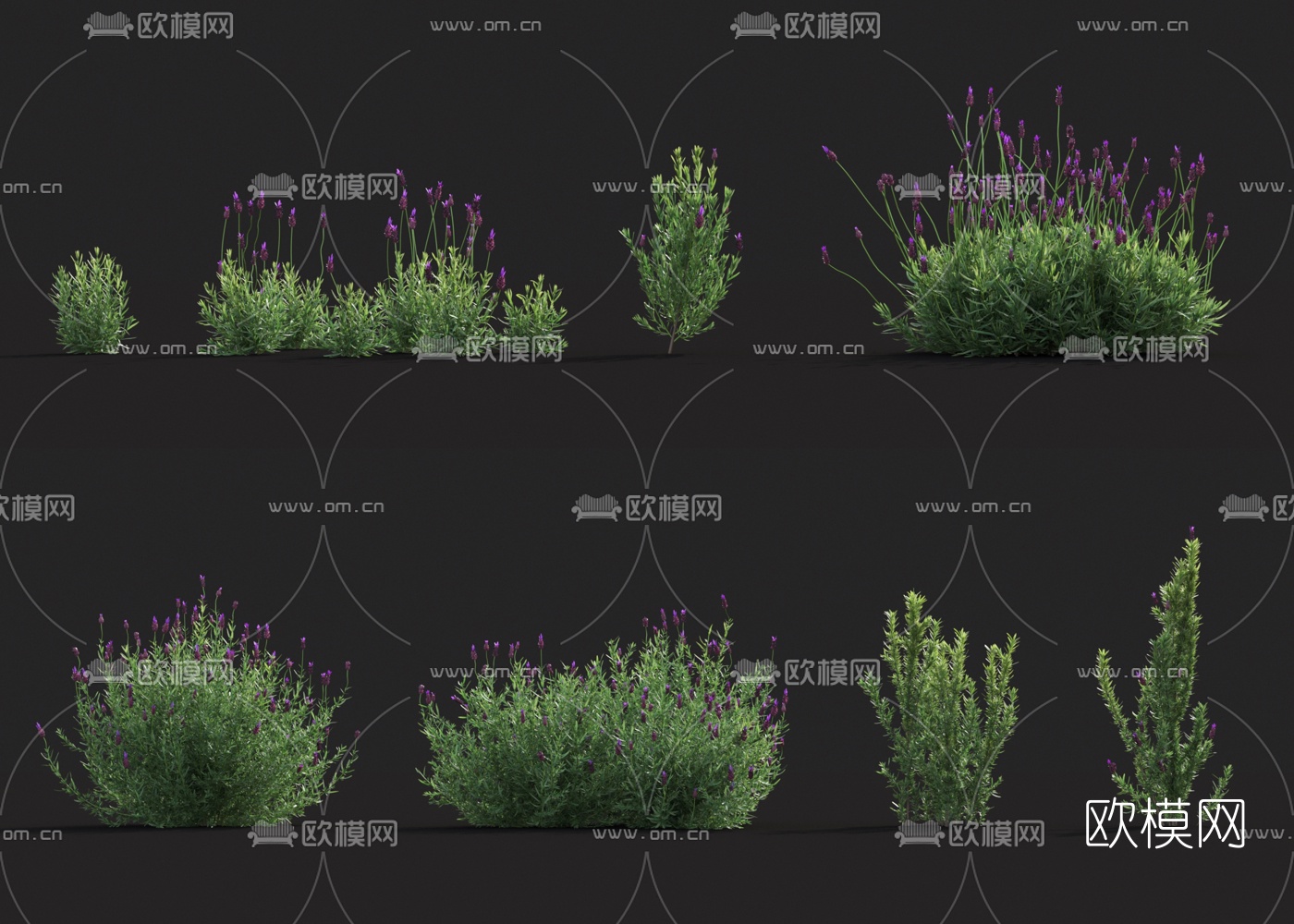 现代花草3d模型下载