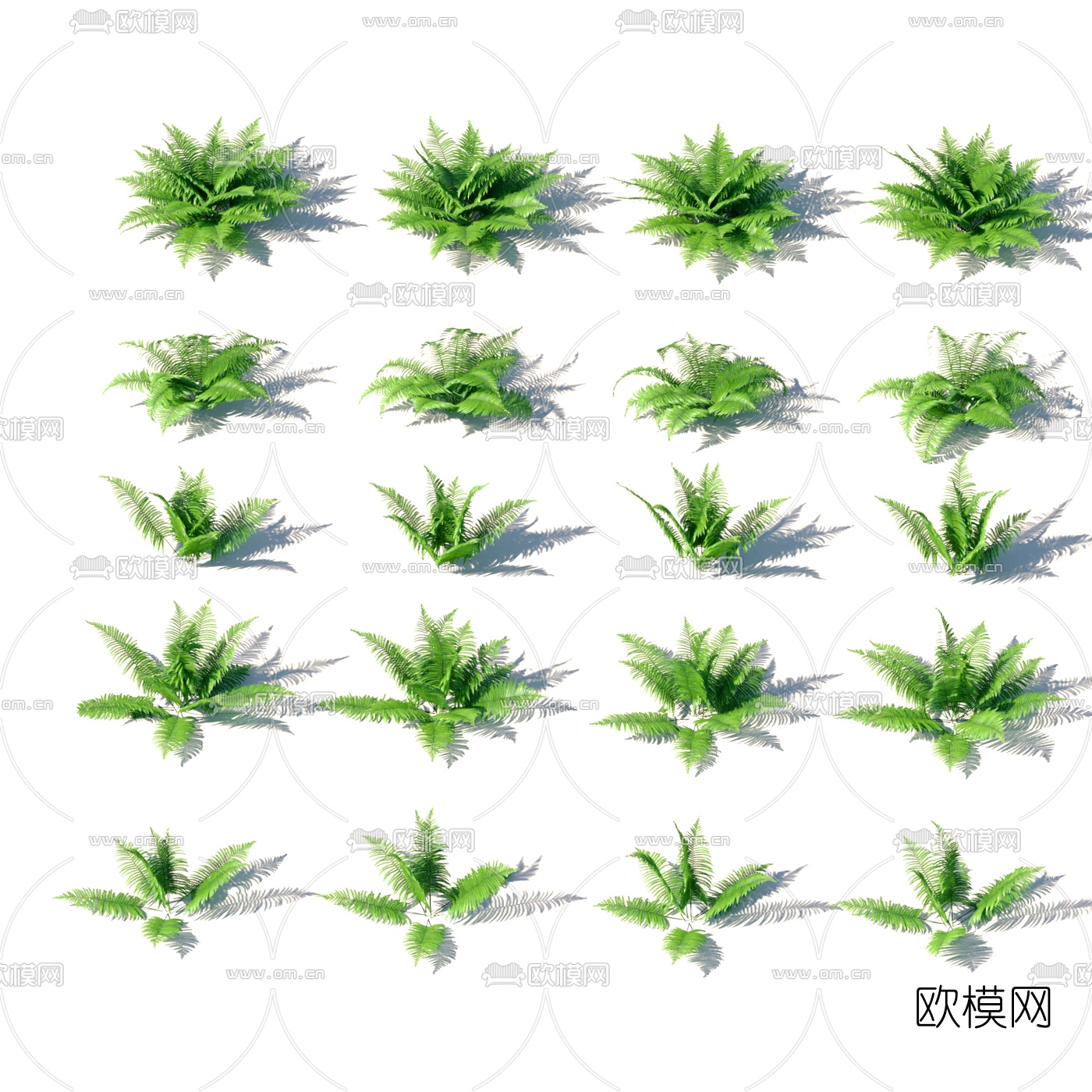 现代植物花草3d模型下载