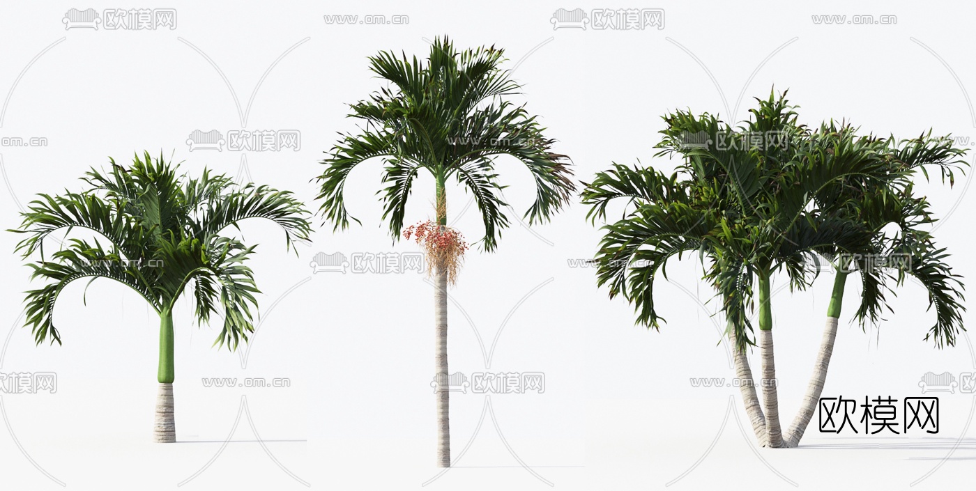 现代热带椰树棕榈树3d模型下载