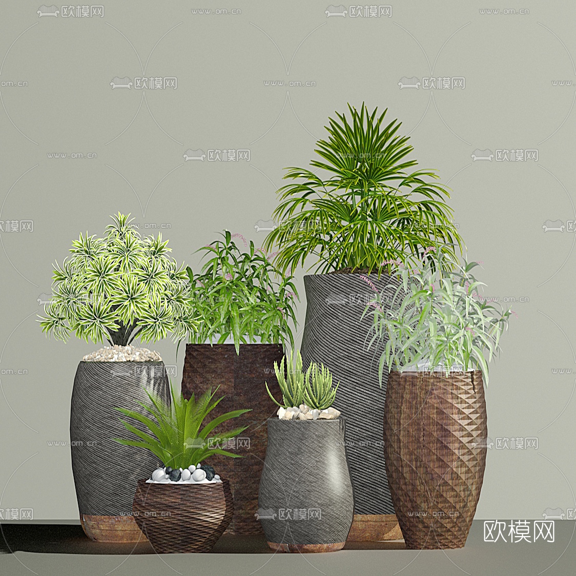 现代植物盆栽组合3D模型下载_ID10328477_3dmax免费模型-欧模网