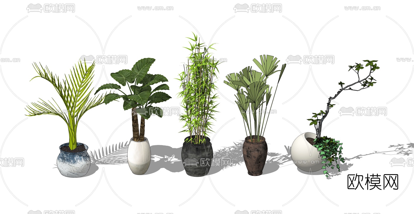 现代植物盆栽组合su模型