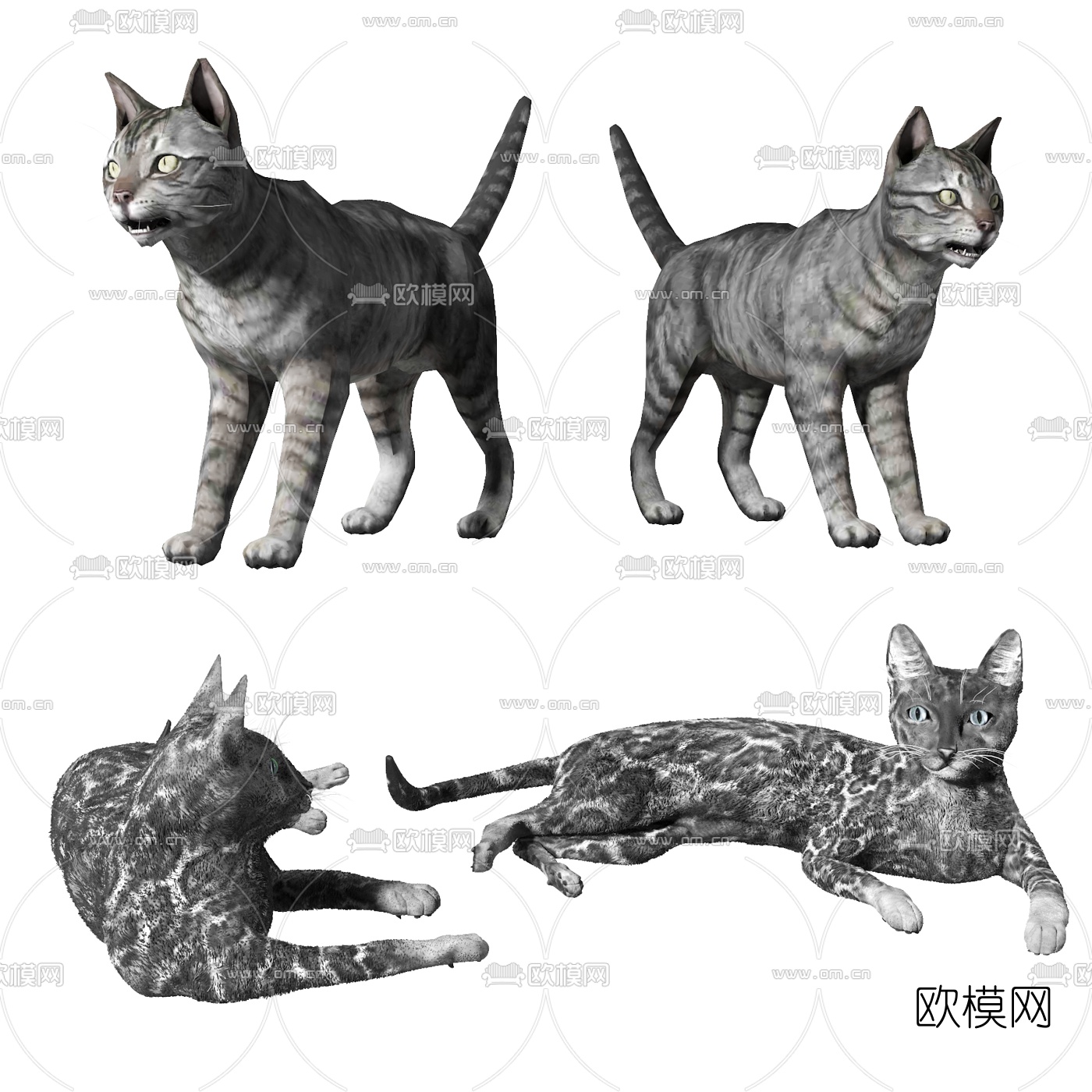 现代猫3d模型下载