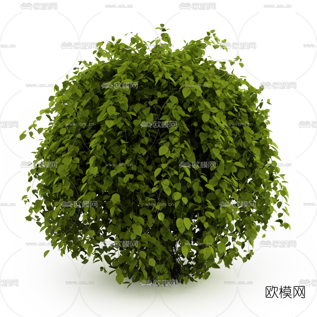 现代灌木3d模型