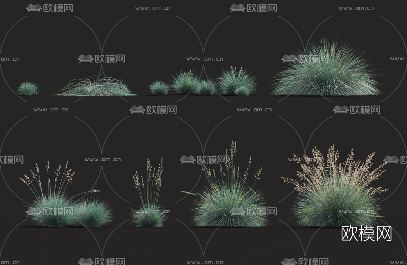 现代花草3d模型