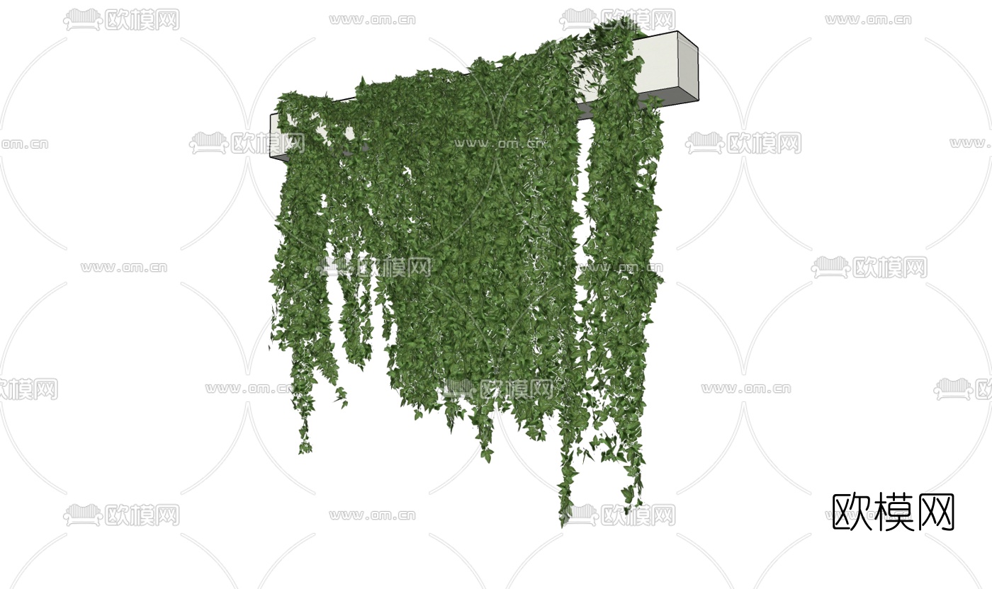 现代绿萝藤蔓免费su模型下载