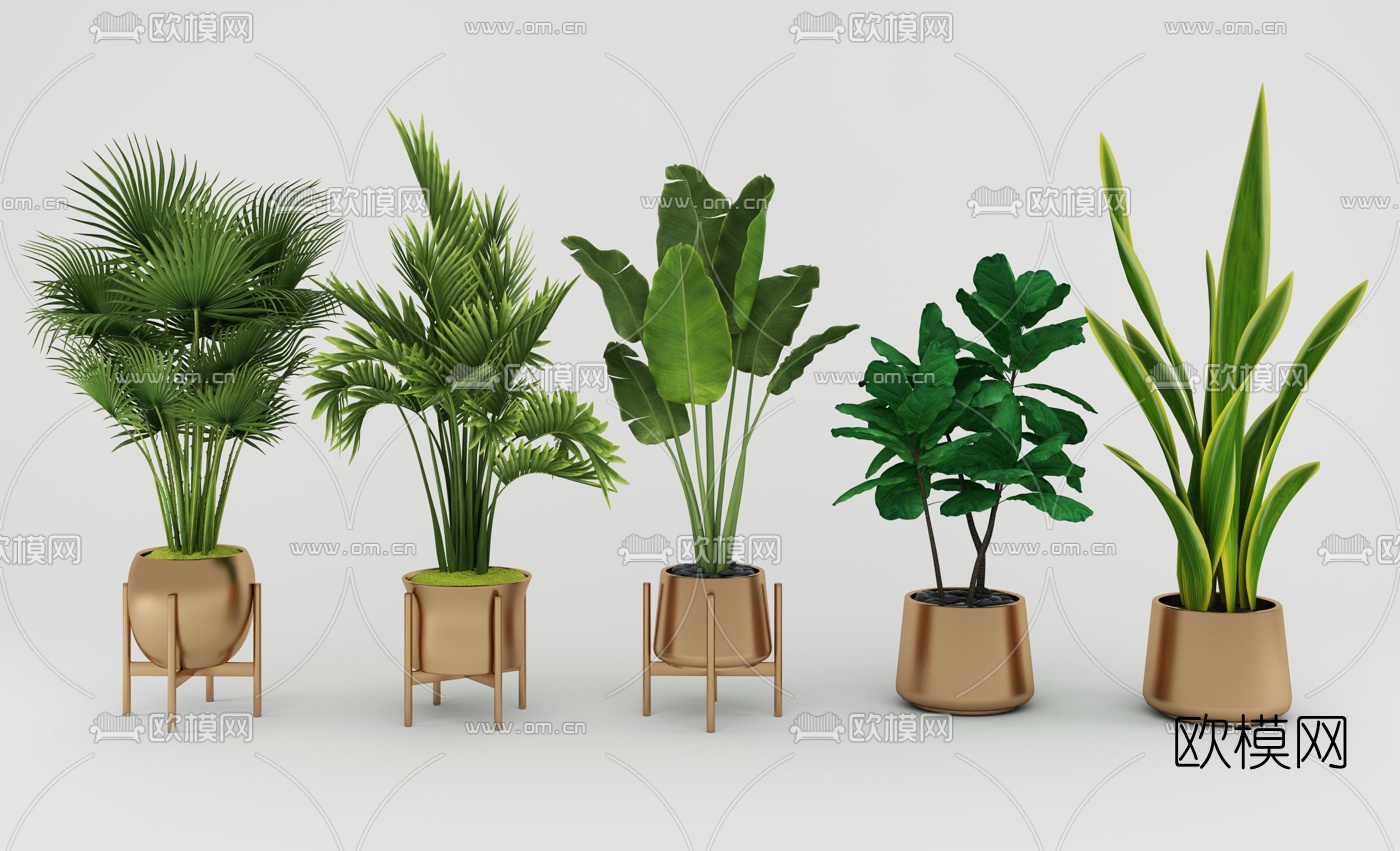 现代绿植盆栽3d模型