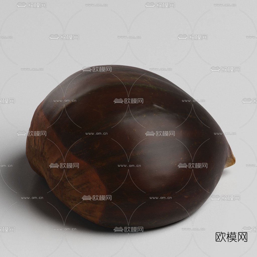 现代干果板栗3d模型下载（渲染图3）