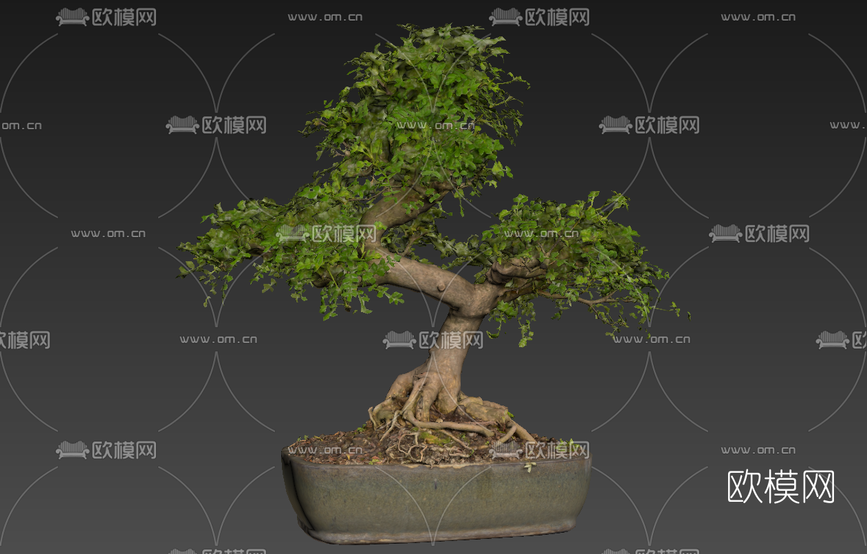 现代绿植盆栽3D模型