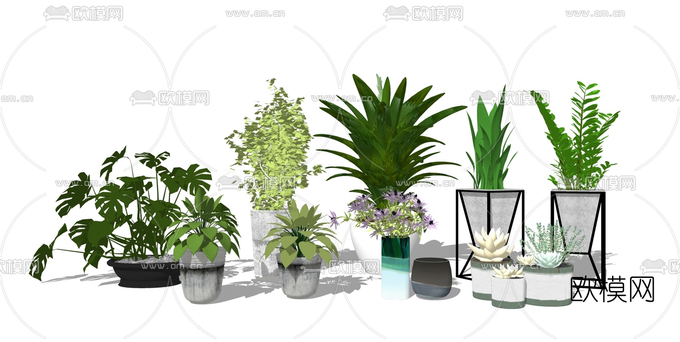 现代植物盆栽组合su模型下载（渲染图1）