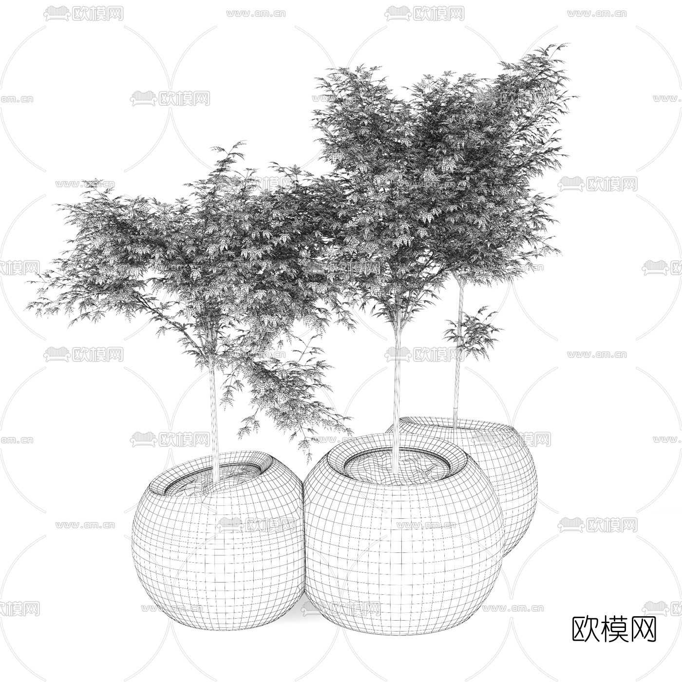 现代枫树盆栽植物3d模型