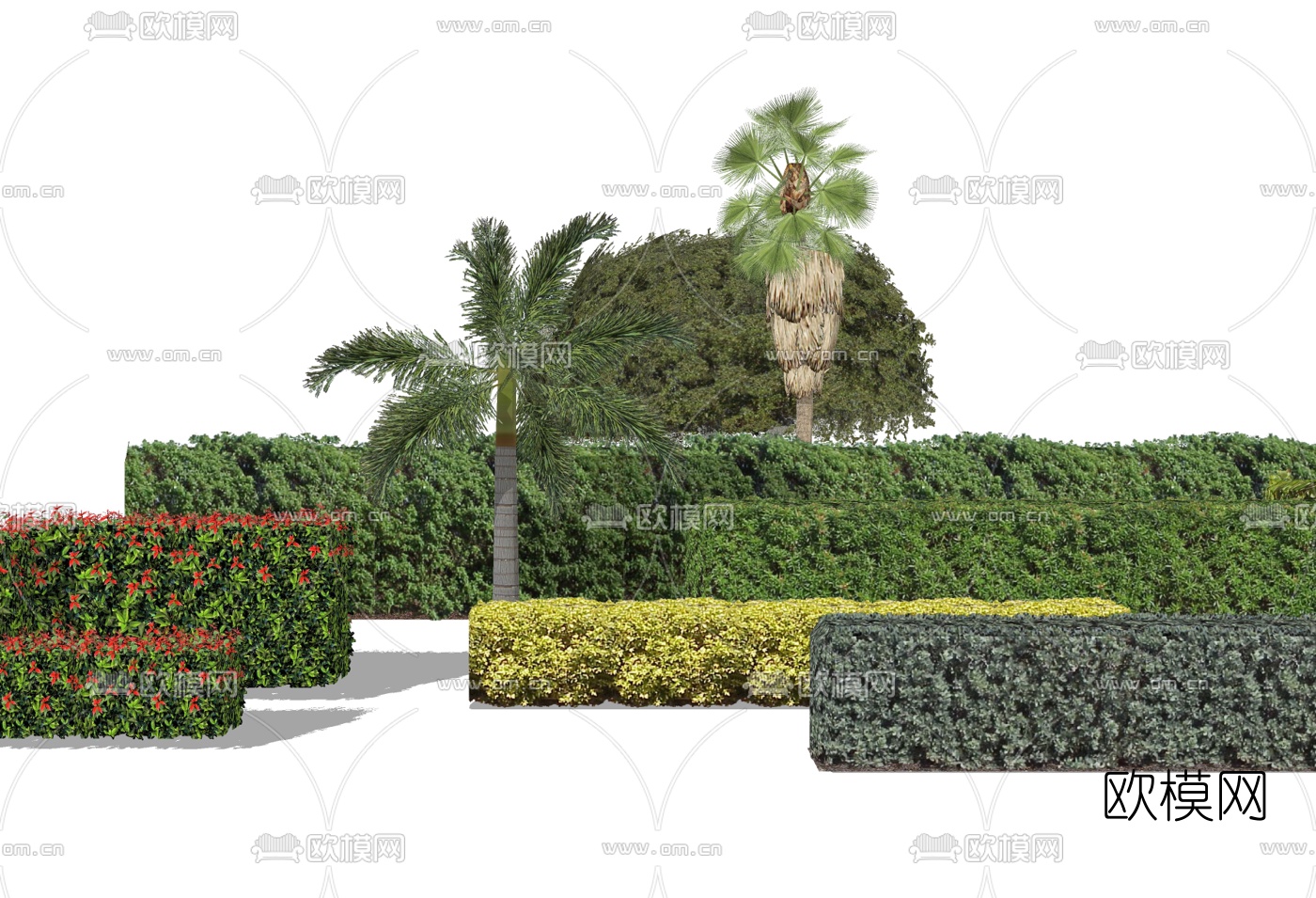 现代红叶绿篱植物su模型下载（渲染图2）