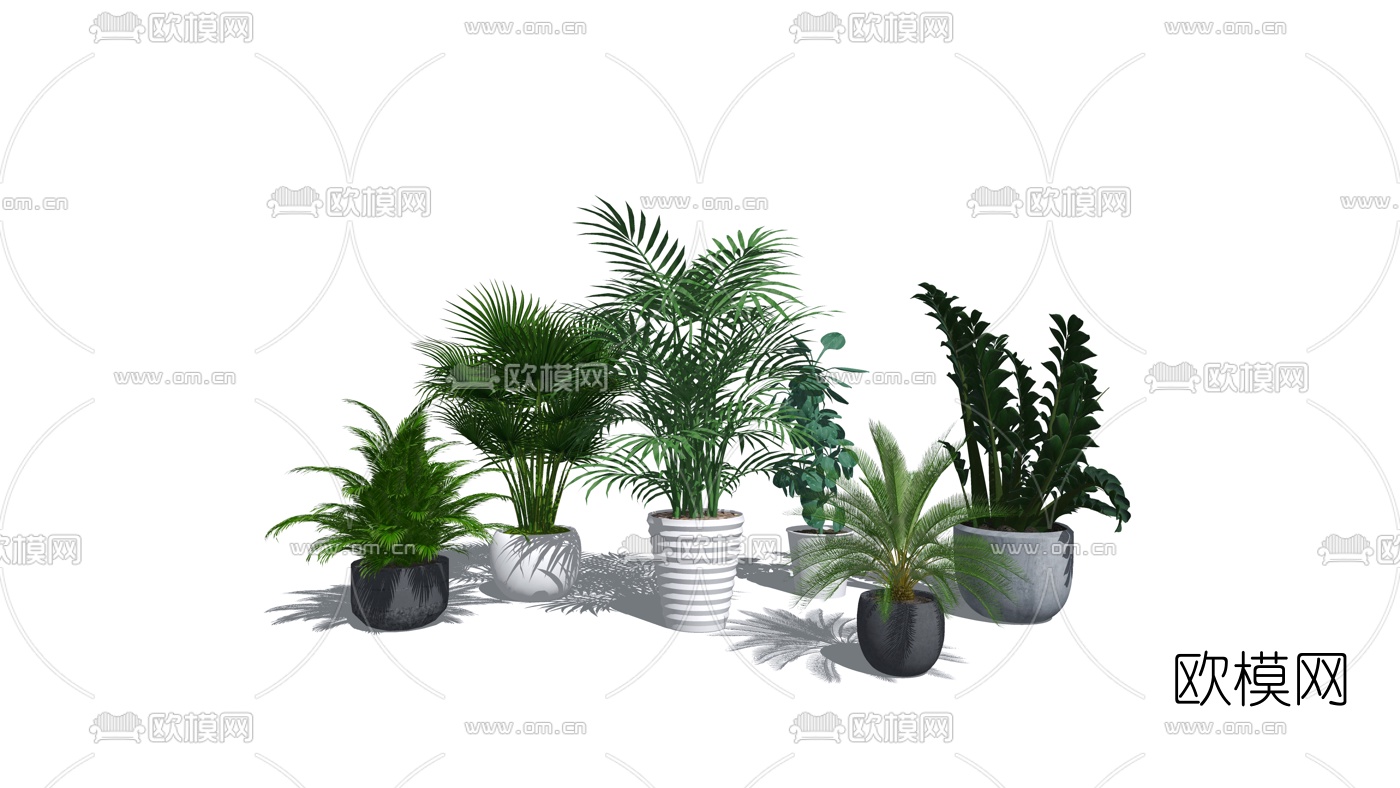 现代绿植盆栽su模型下载（渲染图1）