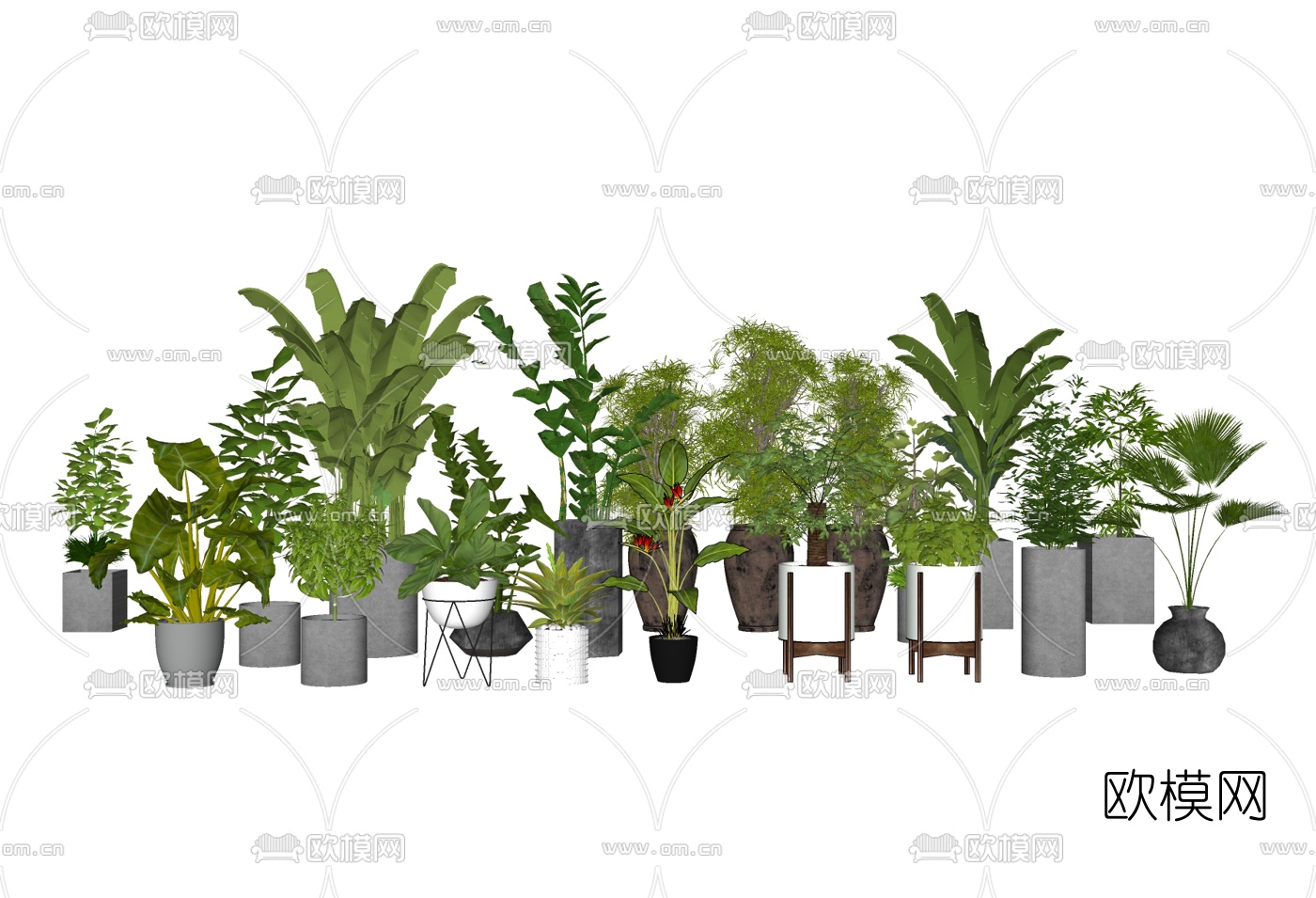 现代植物盆栽组合su模型下载（渲染图2）