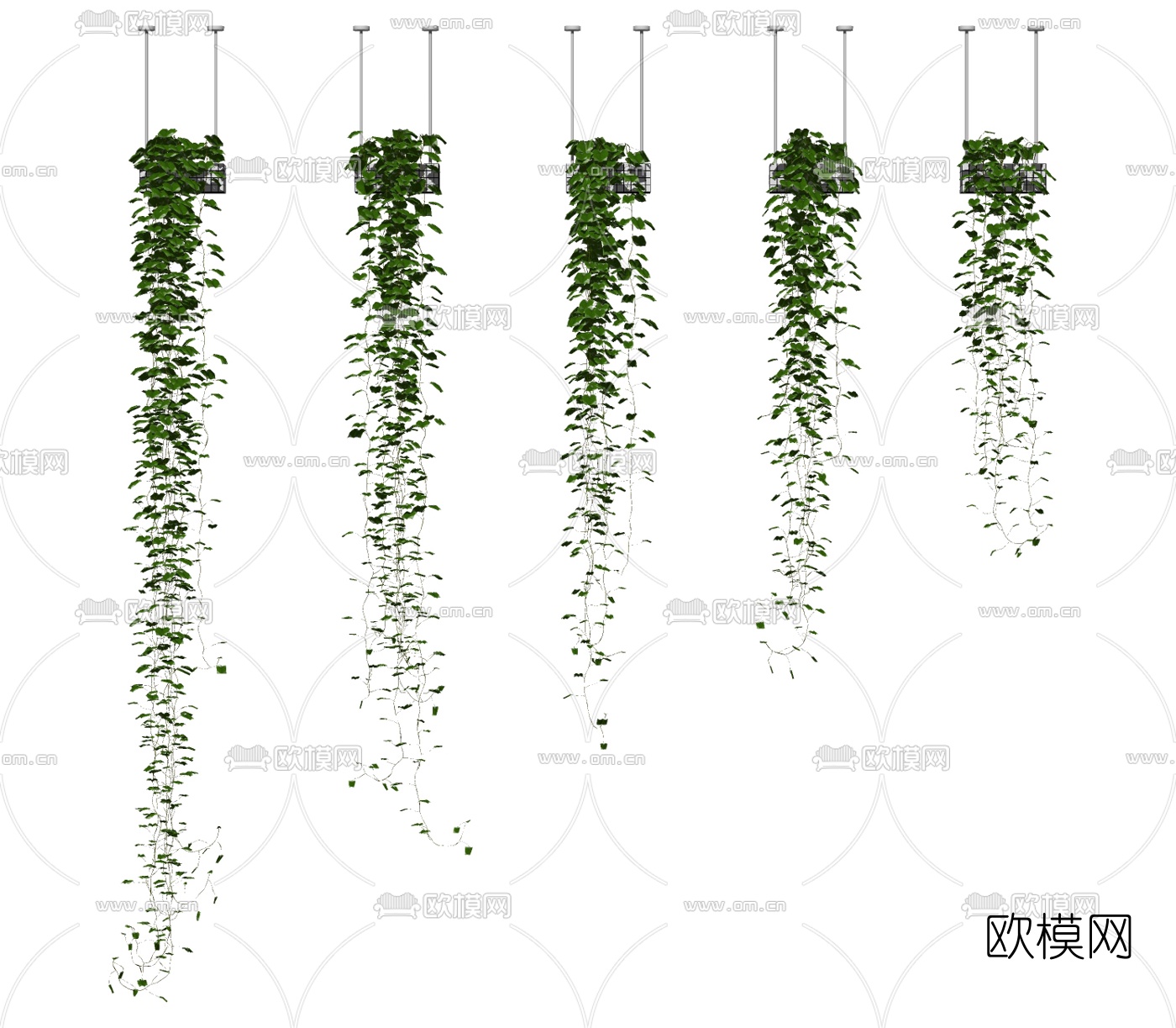 现代植物藤蔓su模型