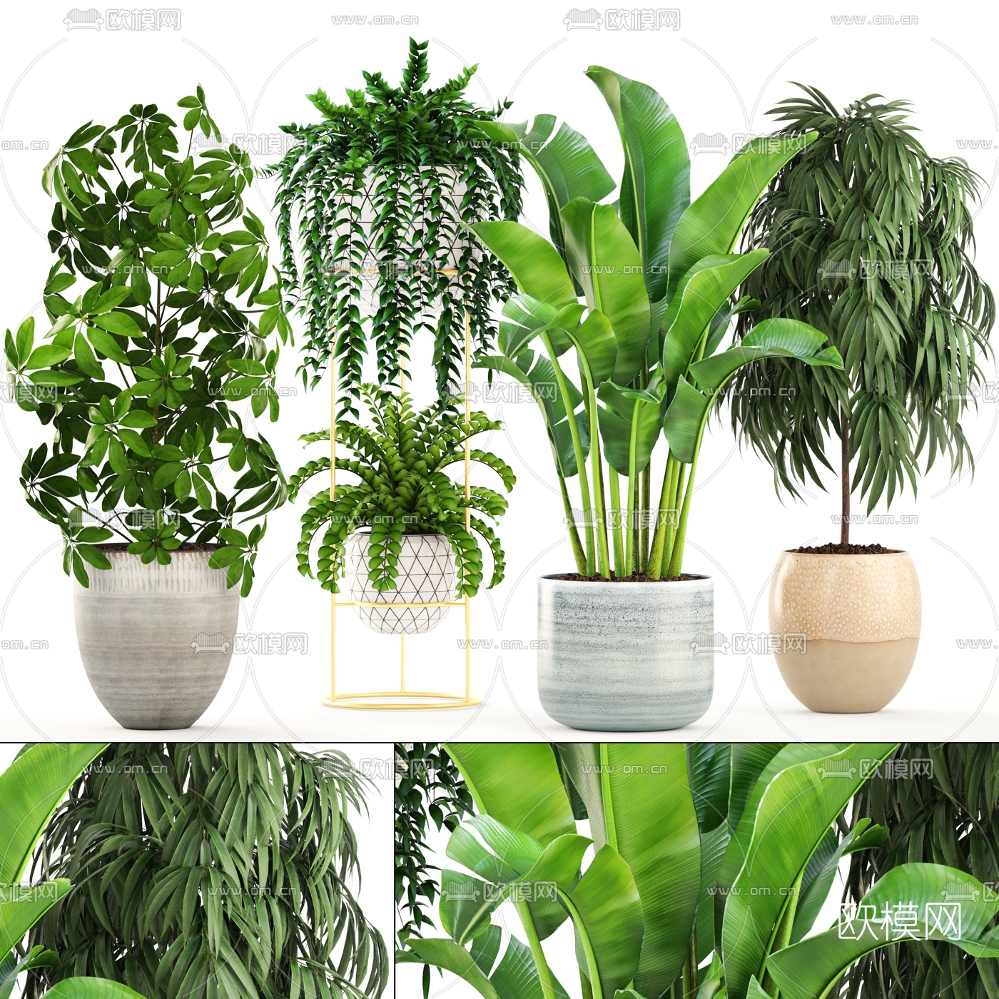 现代植物盆栽组合3D模型-免费3dmax模型库-欧模网