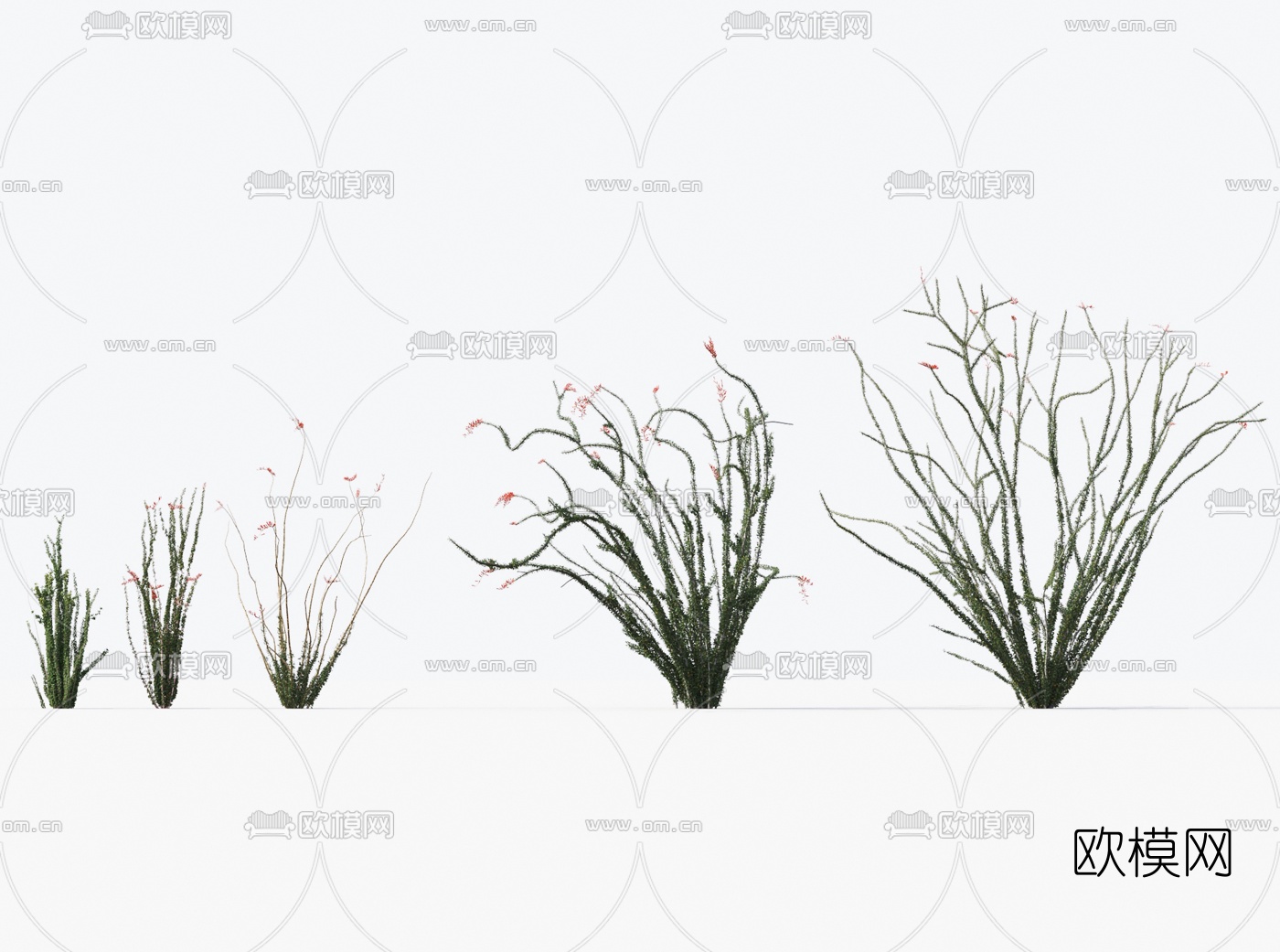 现代植物花草3d模型下载