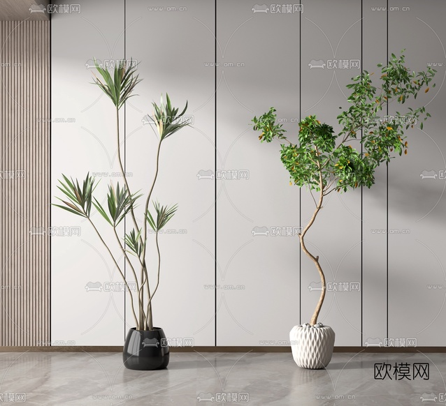 现代绿植盆栽3d模型下载