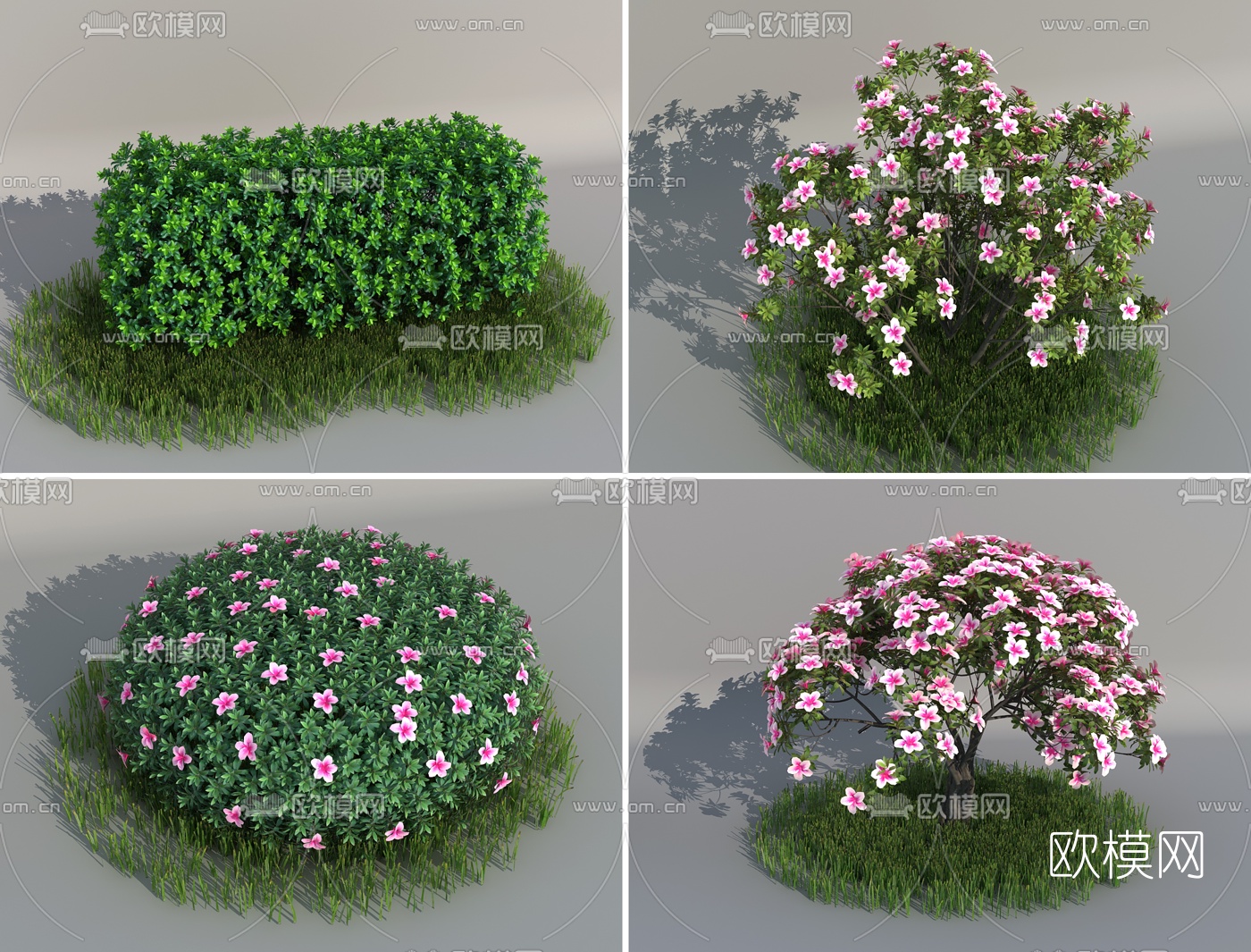 现代灌木花丛3d模型