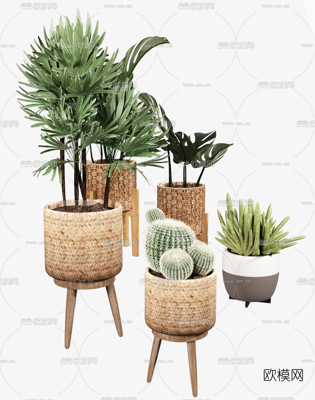 北欧植物盆栽组合3d模型