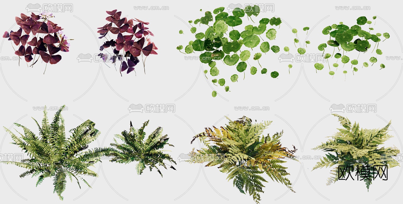 现代植物花草3d模型