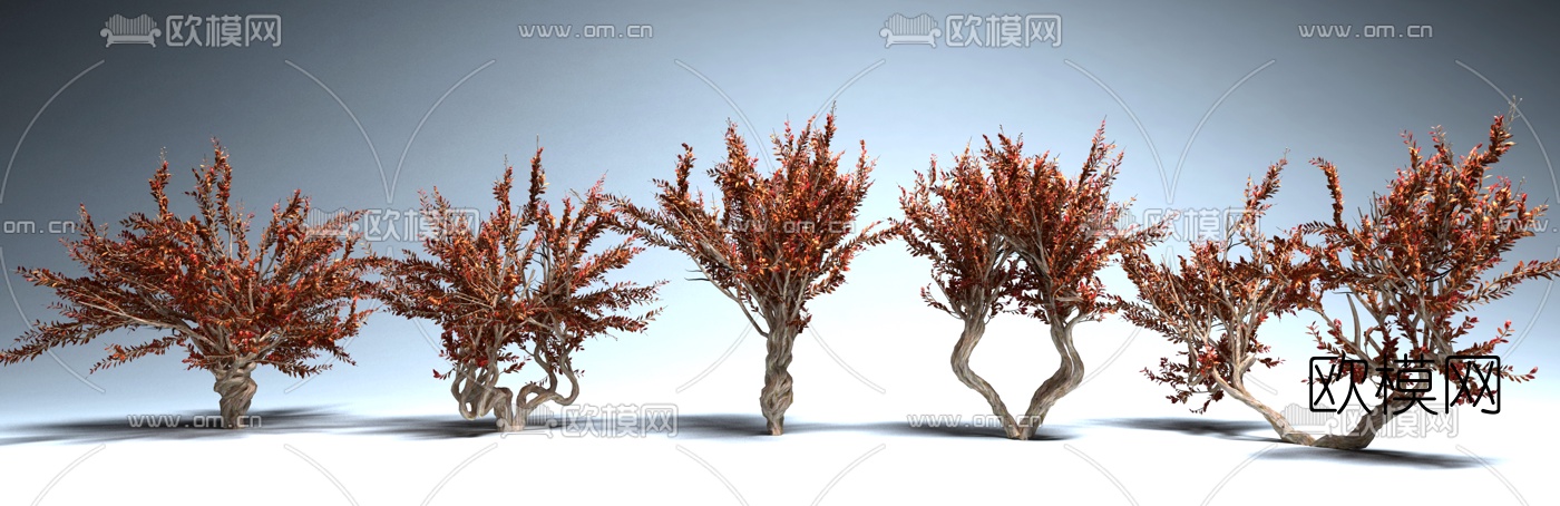 现代景观树3d模型