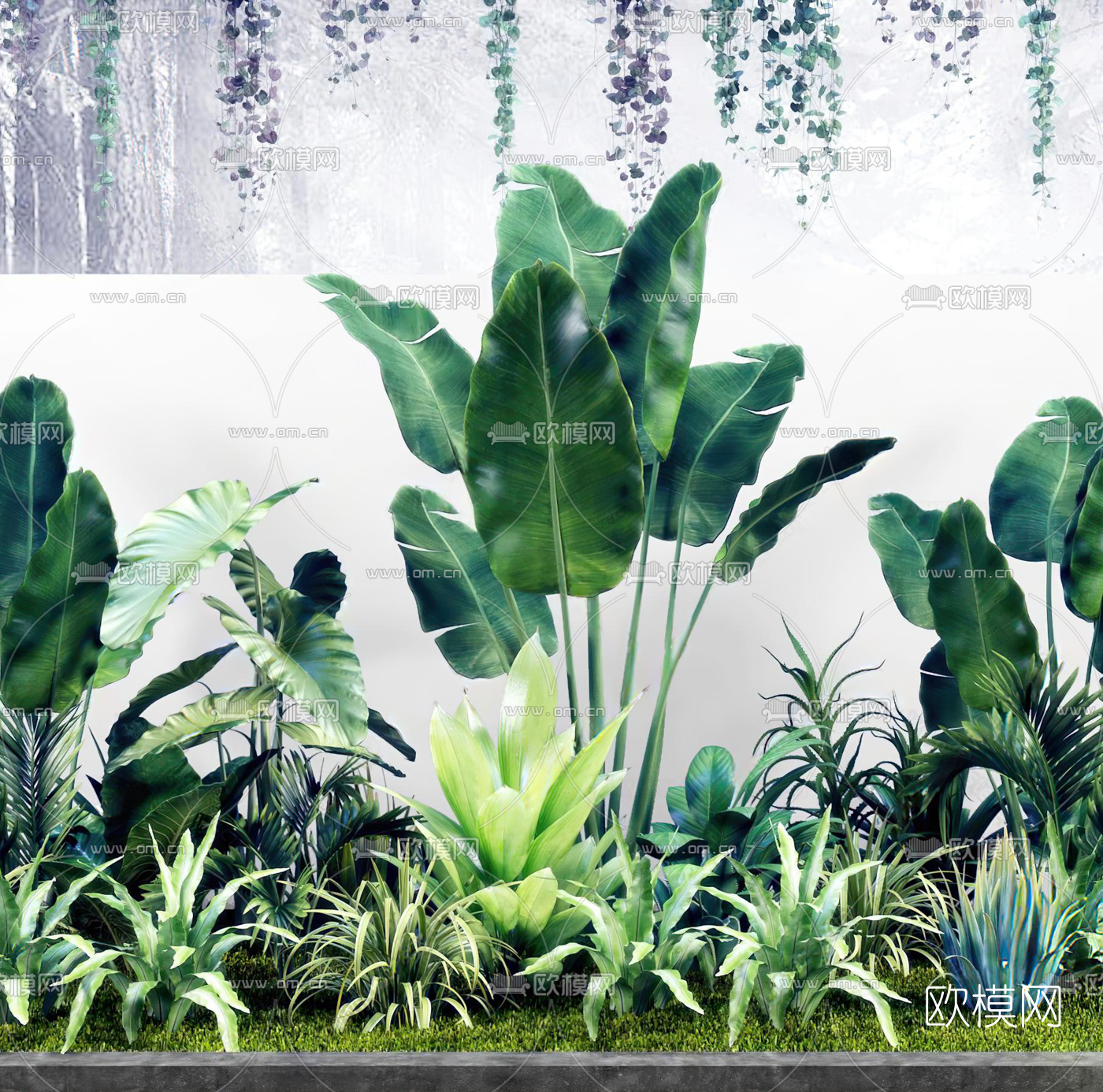 现代芭蕉绿植灌木丛3d模型下载