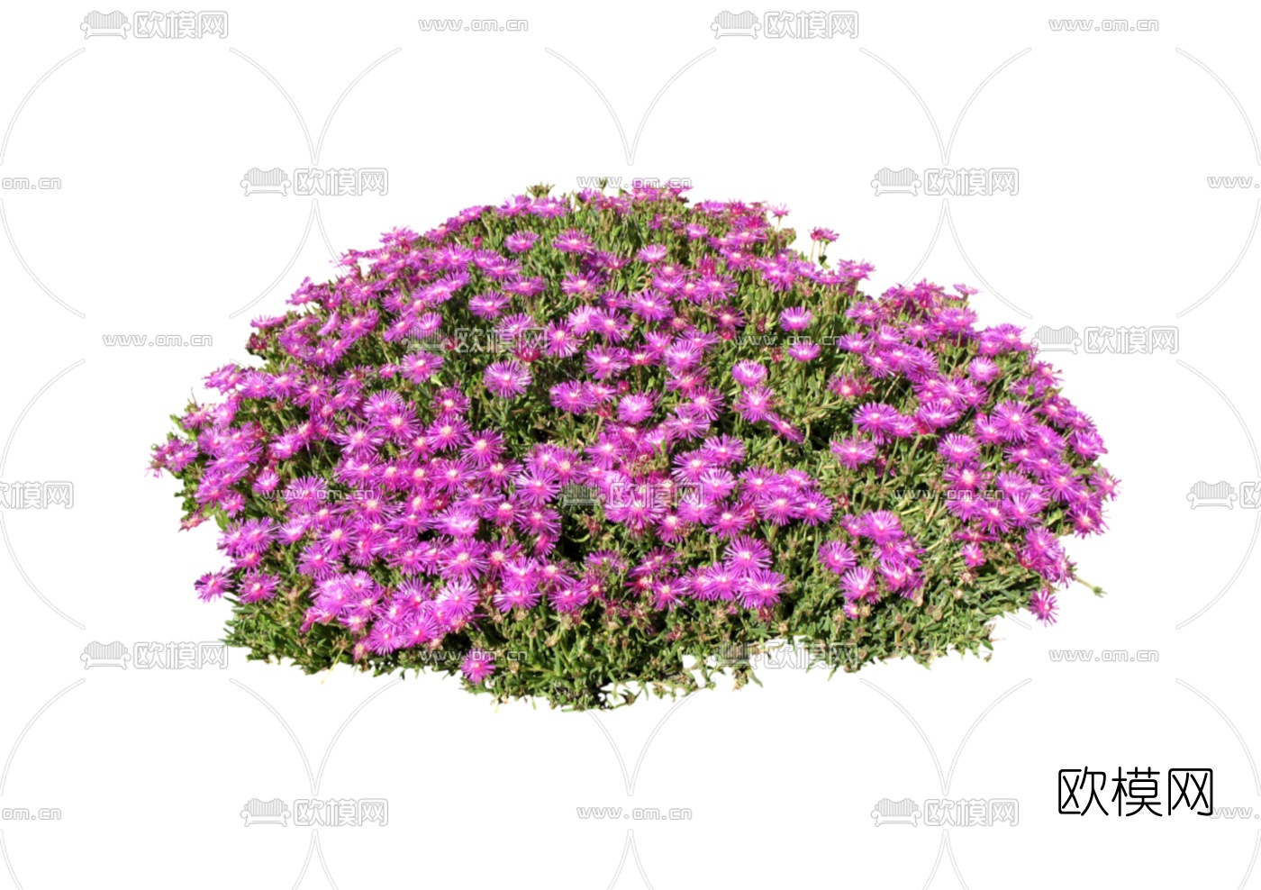 现代2d地被植物组件免费su模型下载_ID10558599_sketchup模型下载-欧模网