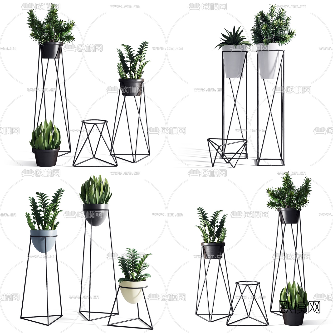 现代植物盆栽3d模型下载