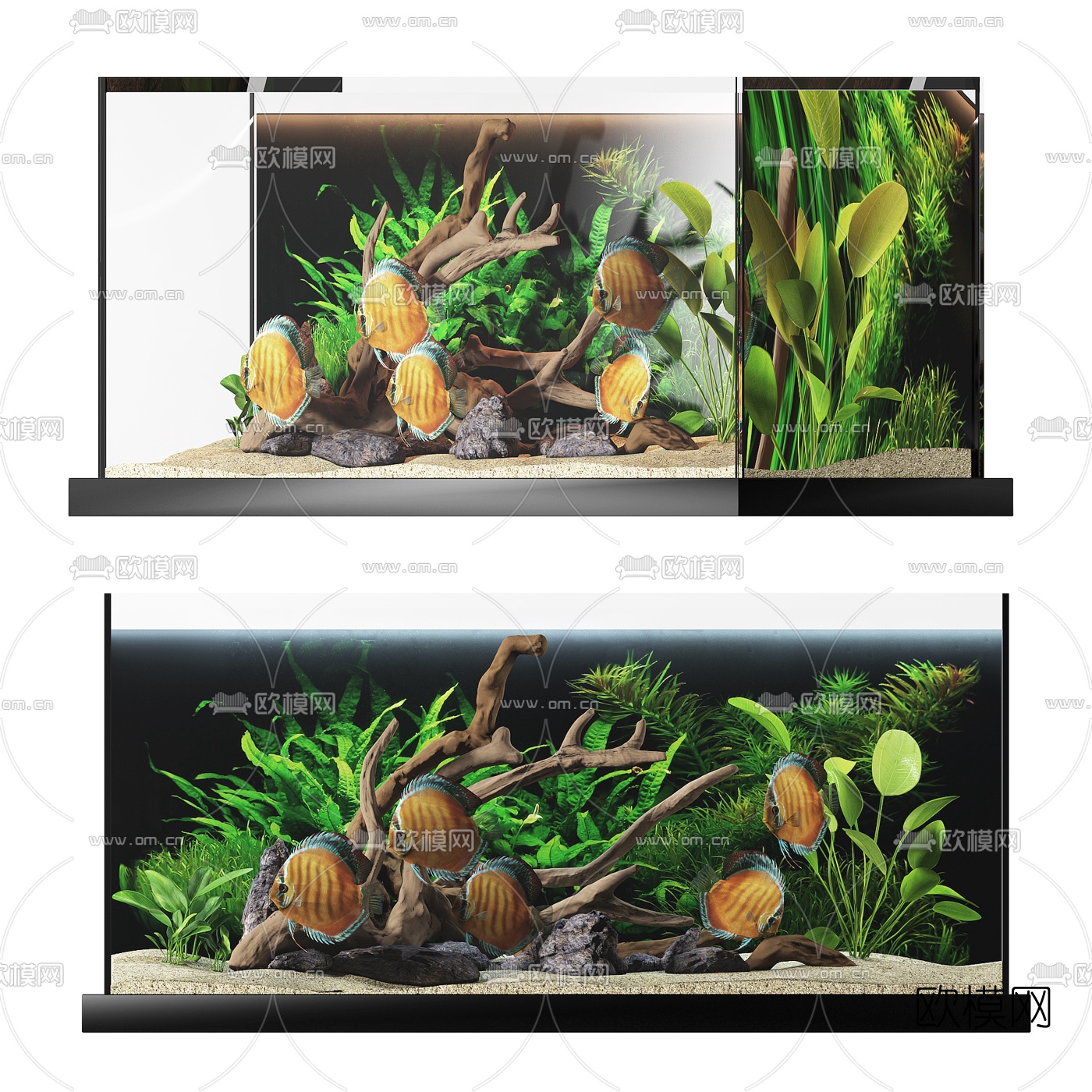 现代鱼缸3d模型