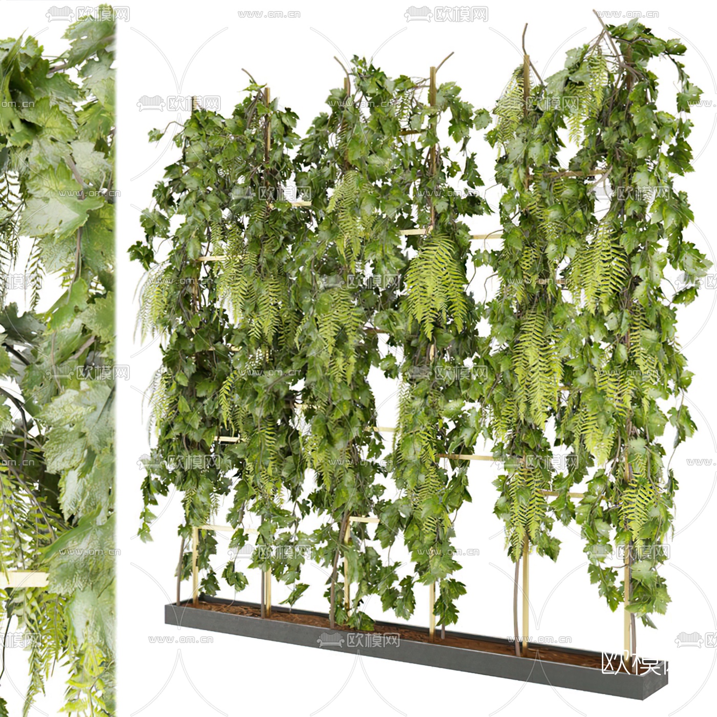 现代植物滕蔓3d模型