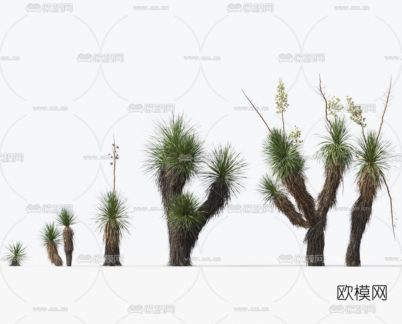 现代沙漠植物花草3d模型下载