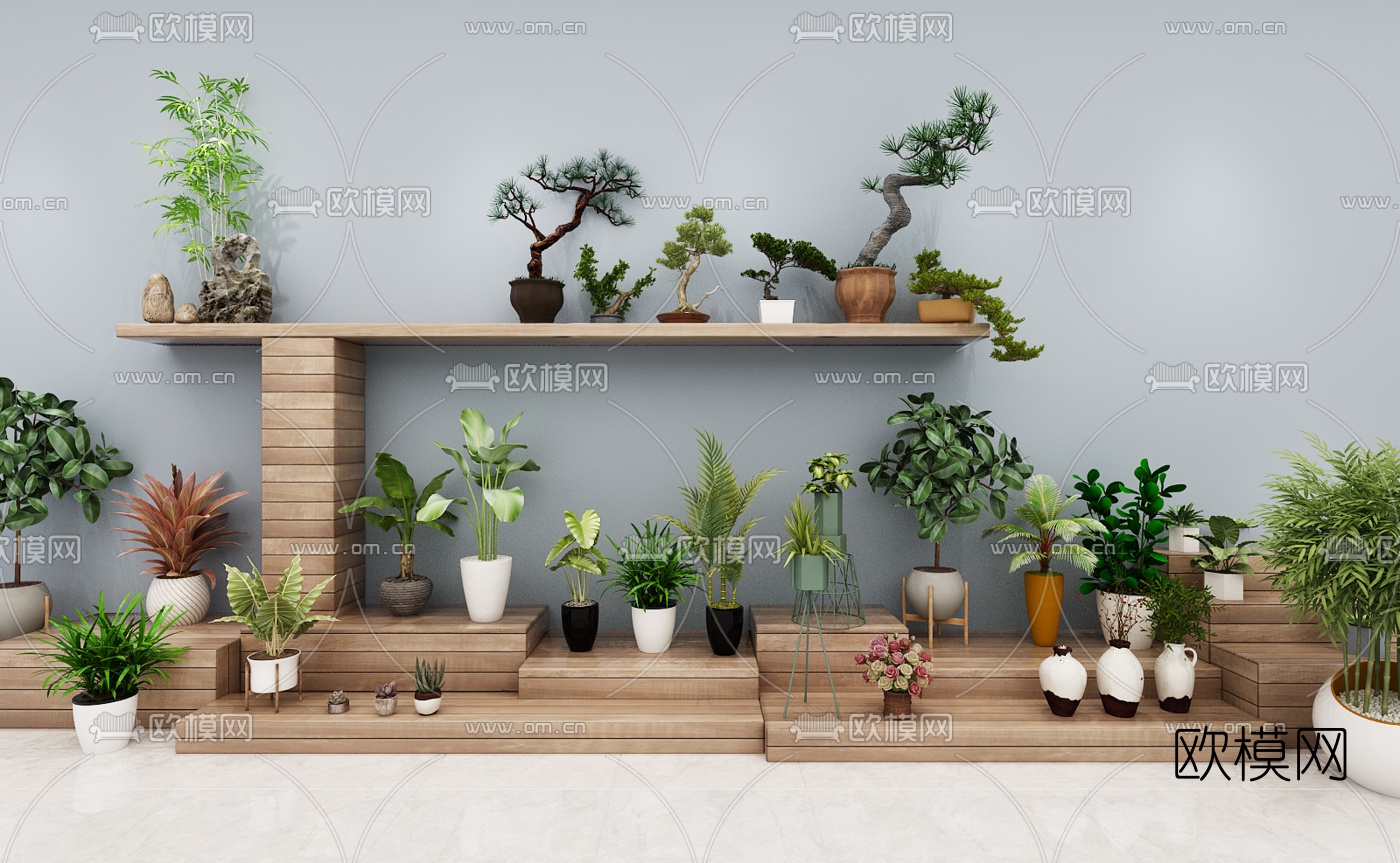 现代植物盆栽3d模型