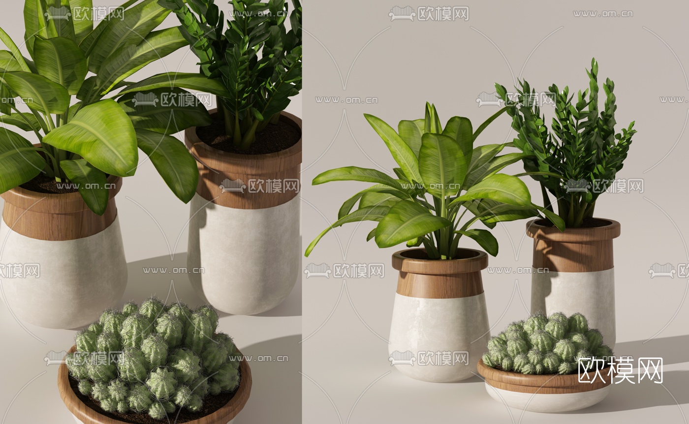 现代绿植盆栽组合3d模型下载