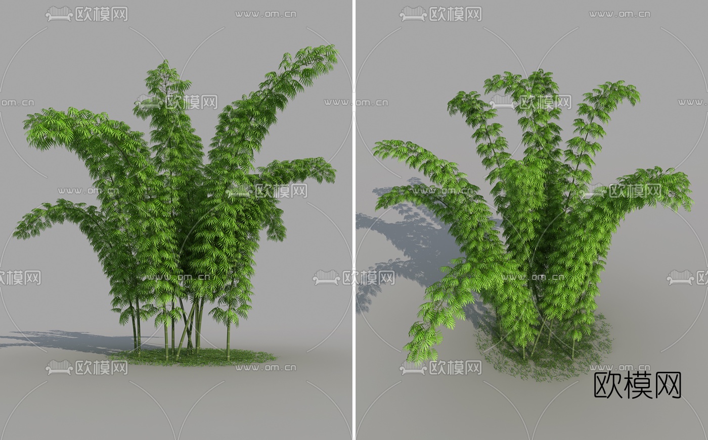 现代竹子3d模型下载