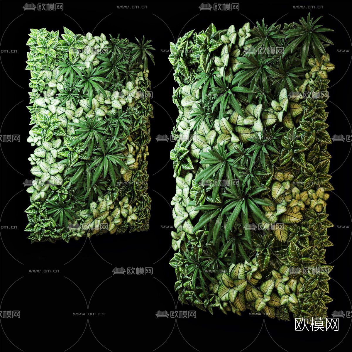 现代植物背景墙3d模型