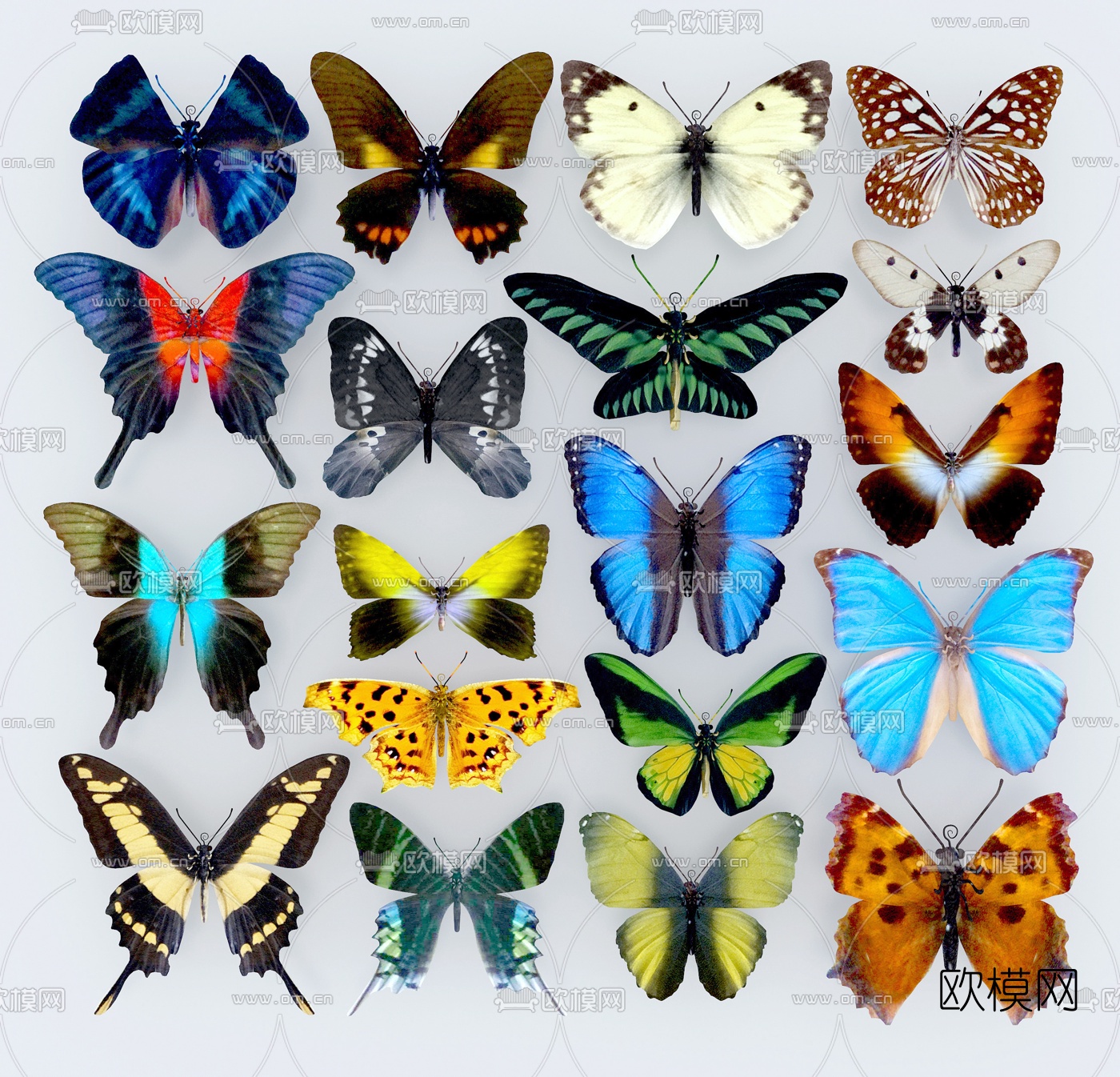 现代蝴蝶组合3d模型下载（渲染图2）