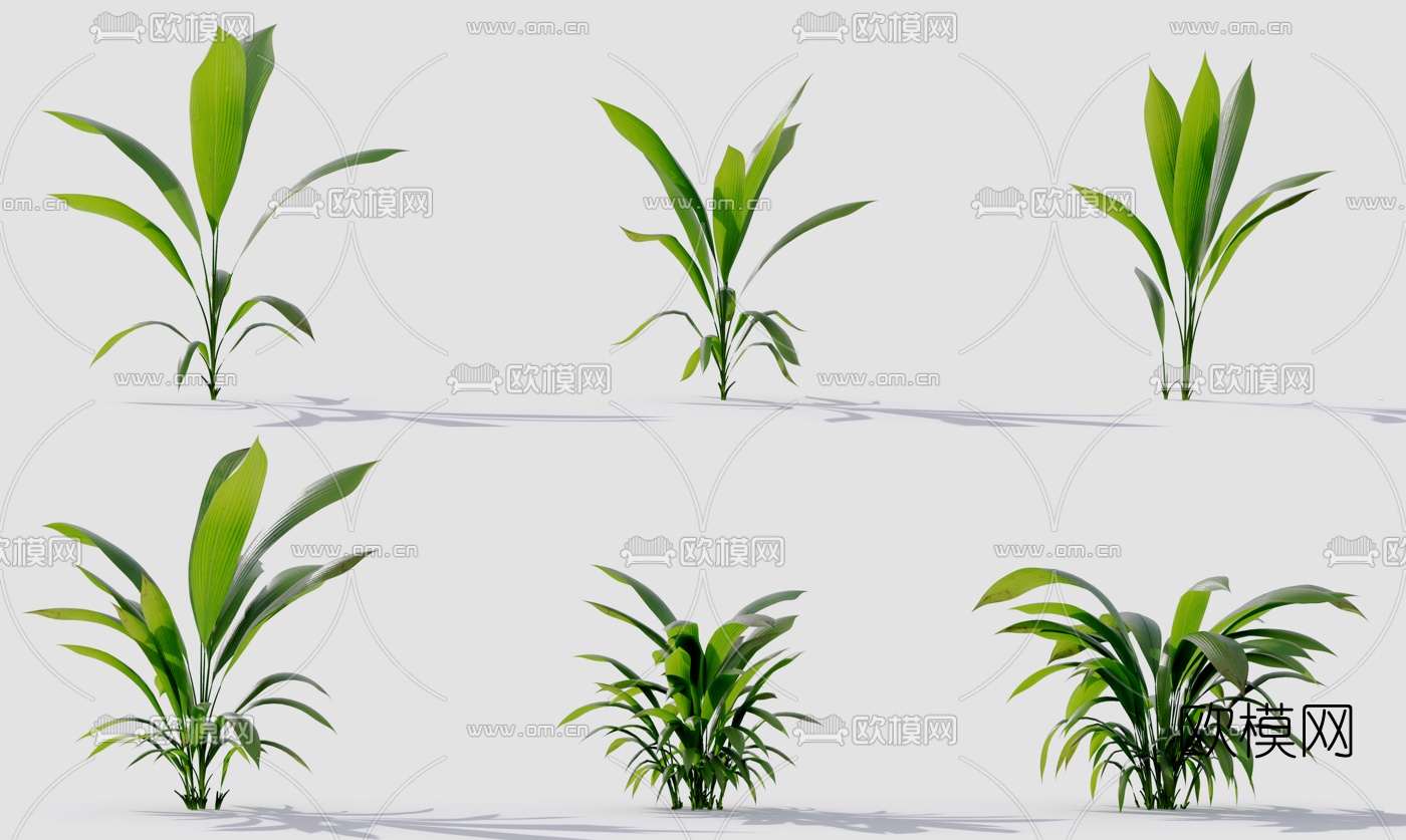 现代绿植花草3d模型