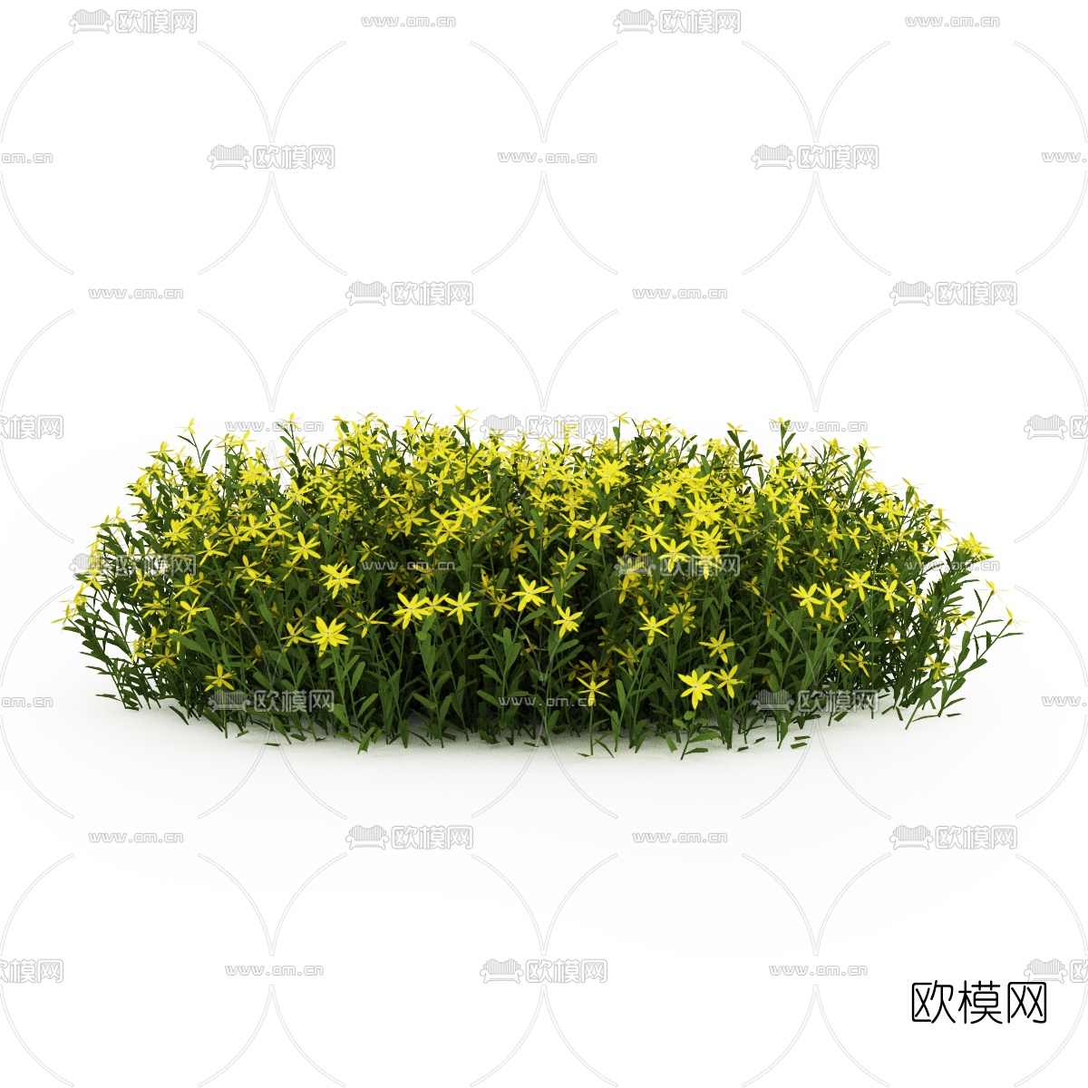 现代灌木3d模型