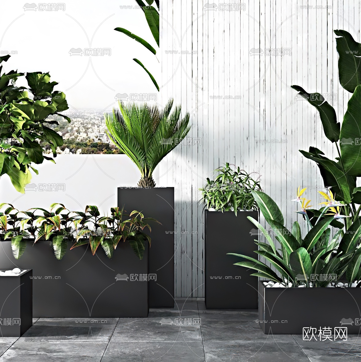 现代绿植盆栽3d模型
