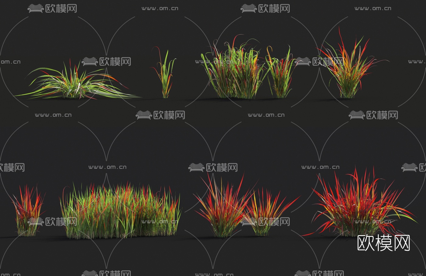 现代花草3d模型下载