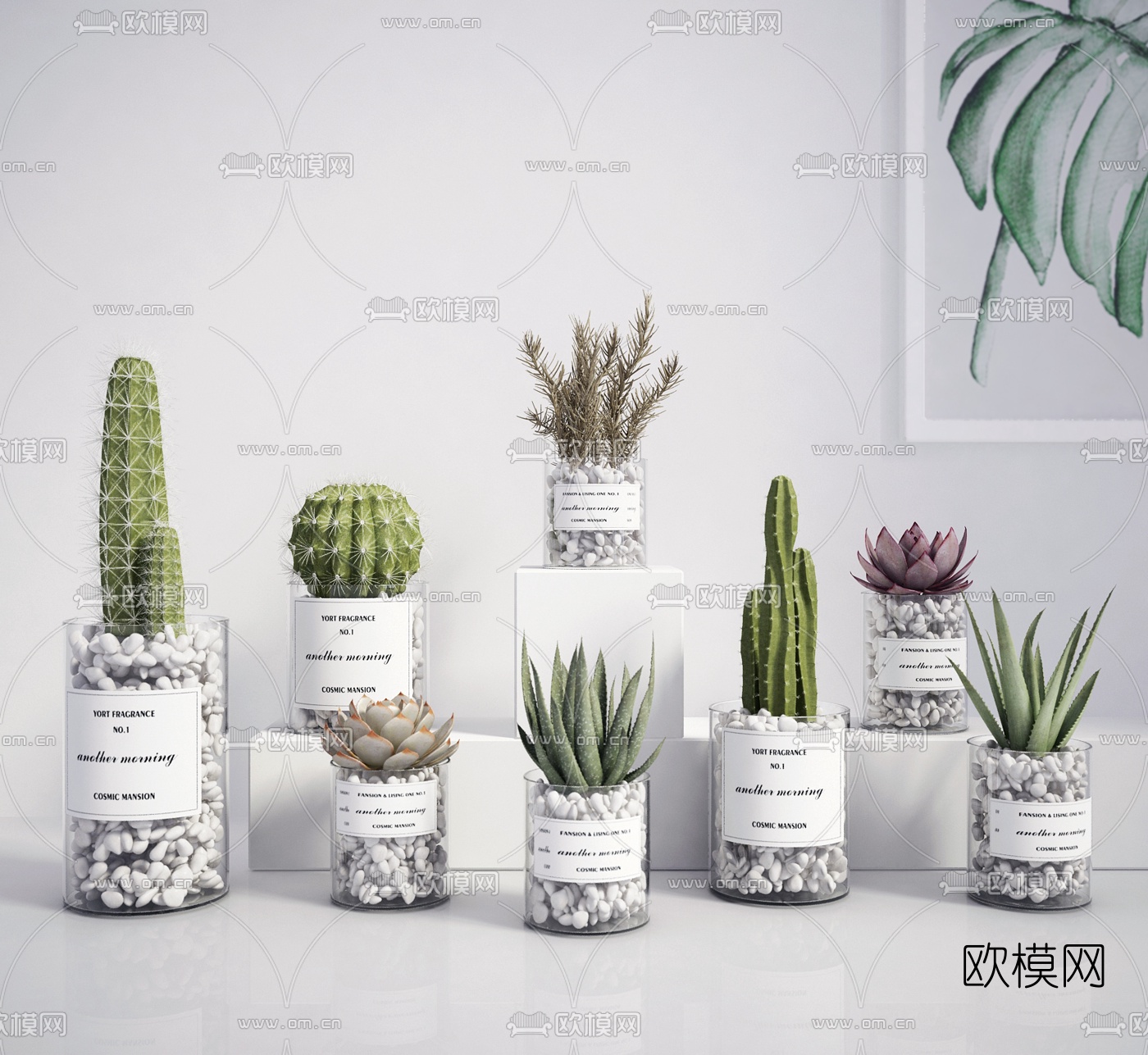 北欧仙人掌芦荟多肉盆栽3d模型下载