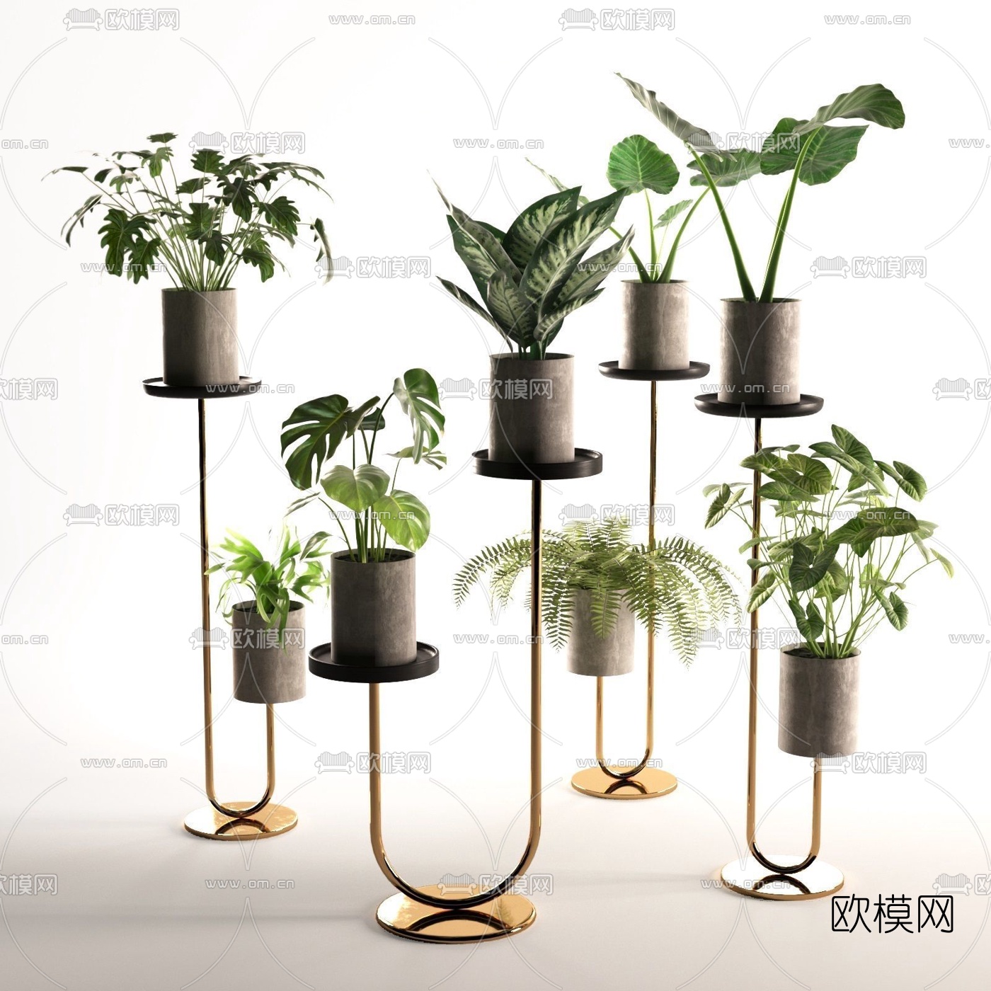 现代绿植盆栽组合3d模型下载（渲染图1）