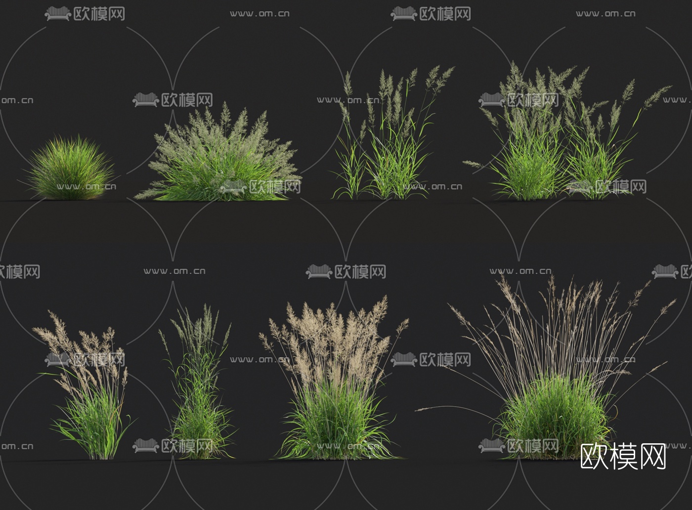 现代花草3d模型