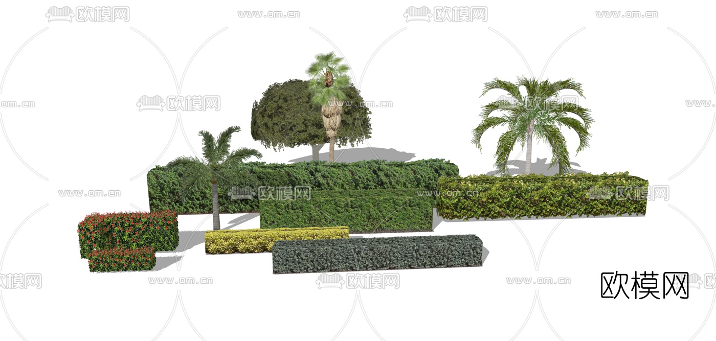 现代红叶绿篱植物su模型下载（渲染图1）