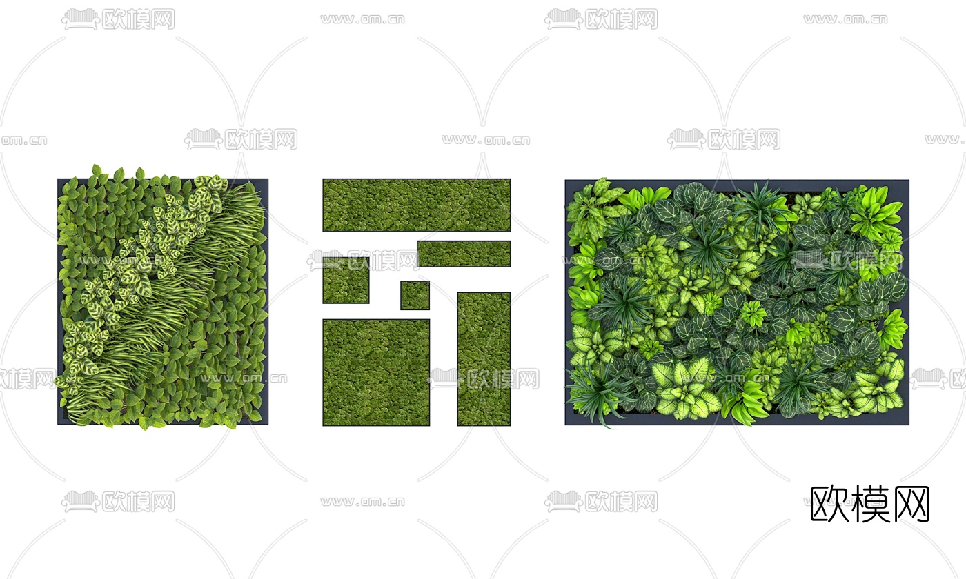 现代绿植墙植物墙3d模型