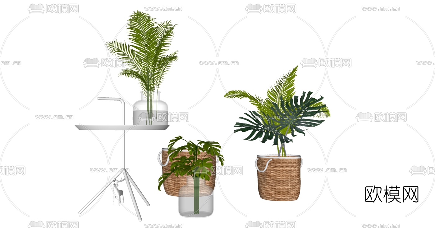 现代植物盆栽组合su模型下载