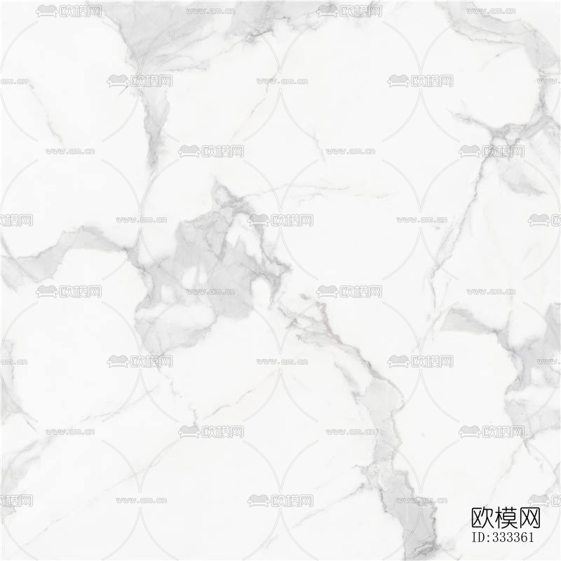 中华白