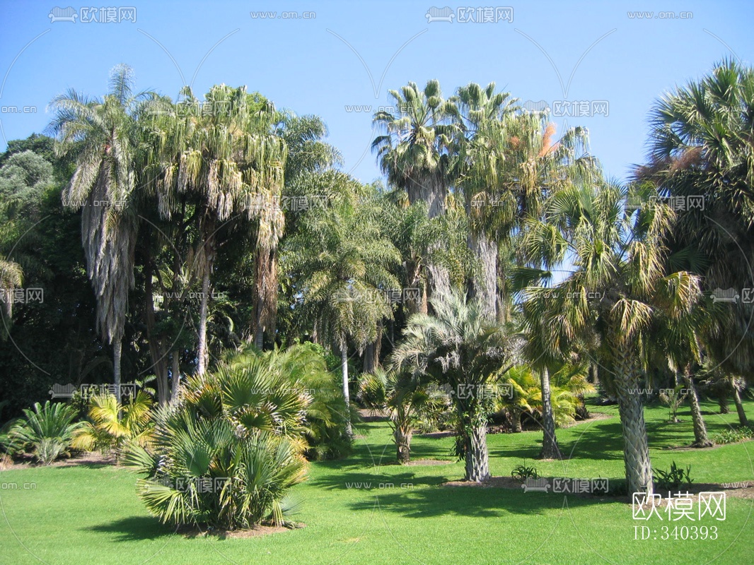 外景贴图下载（渲染图15）