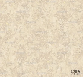 壁纸