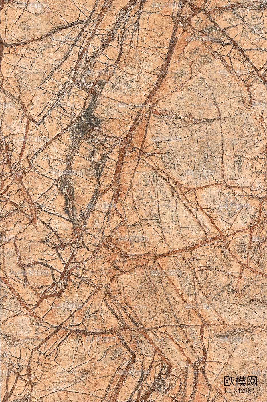 印度雨林啡石材下载